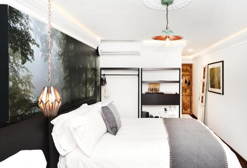 Номер Стандарт, Orchid House Polanco