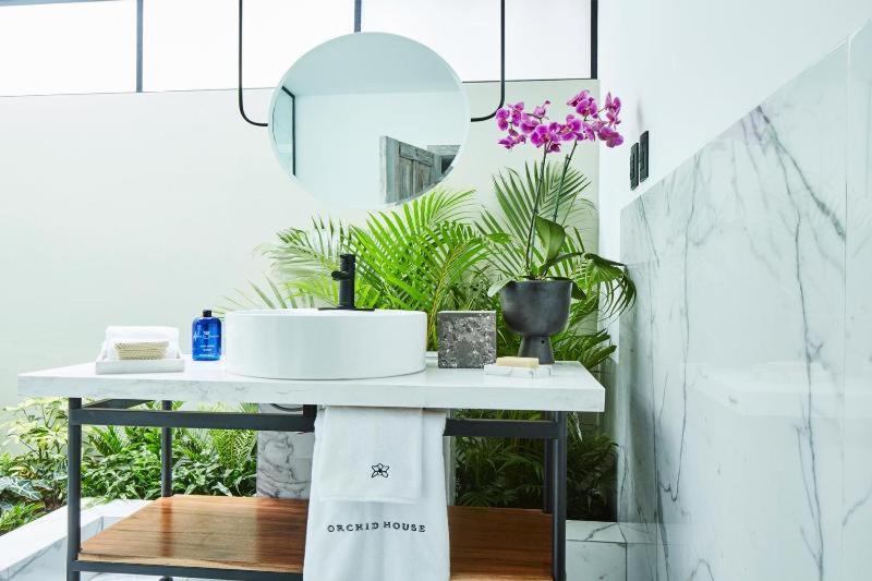 Номер Стандарт, Orchid House Polanco