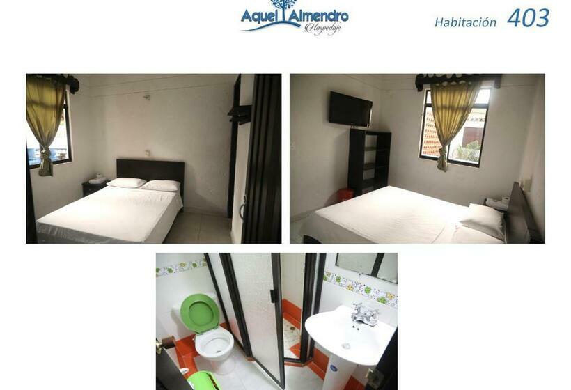 标准间, Hospedaje Aquel Almendro