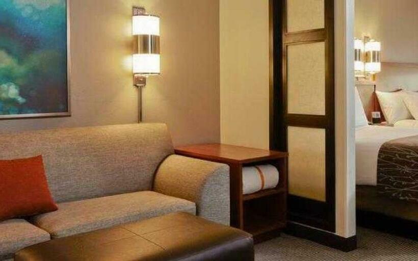 Номер Стандарт, Hyatt Place Detroit/royal Oak