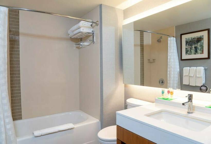 Номер Стандарт, Hyatt Place Detroit/royal Oak