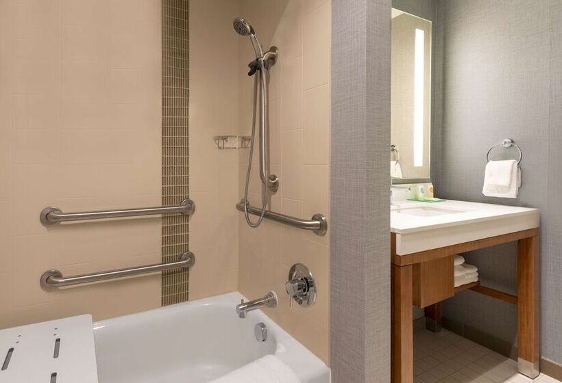 Quarto Estandar para Deficientes Físicos, Hyatt Place Detroit/royal Oak