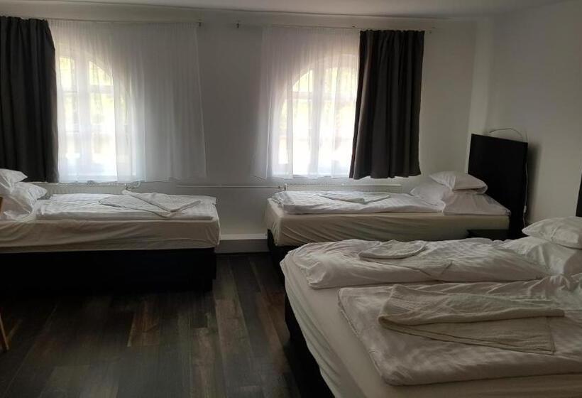 家庭间, Hbh Bajor Sörház Sólyomfészek Panzió