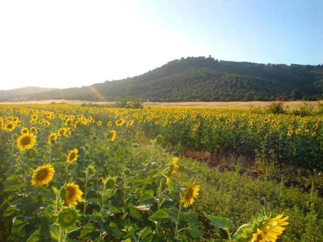 خانه 2 خوابه, Agriturismo Lupo Vecchio