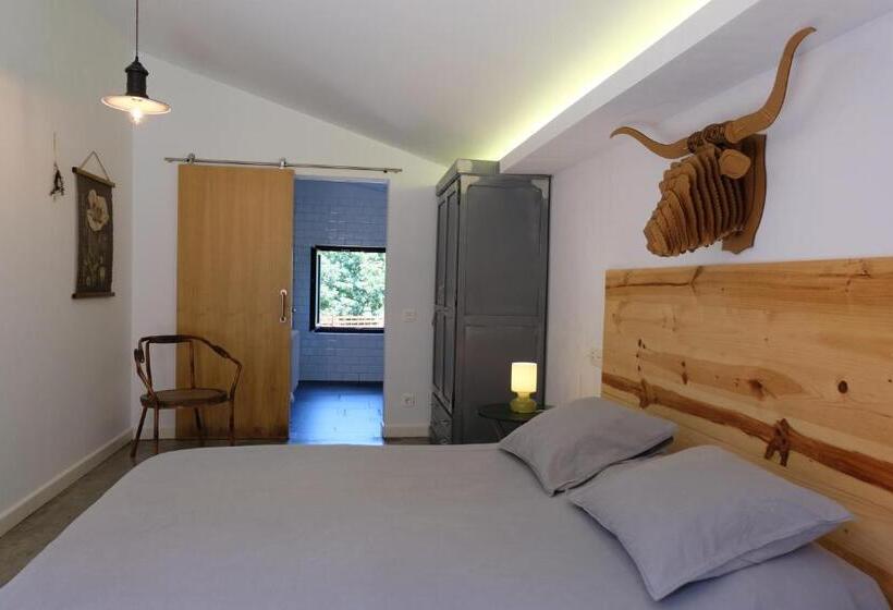 Номер Стандарт, Casa Carmina Hostel