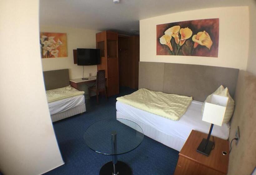 חדר סטנדרט יחיד, Motel Monteur