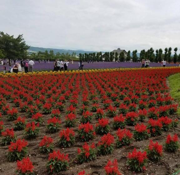 اتاق استاندارد با بالکن, Furano Mount Villa