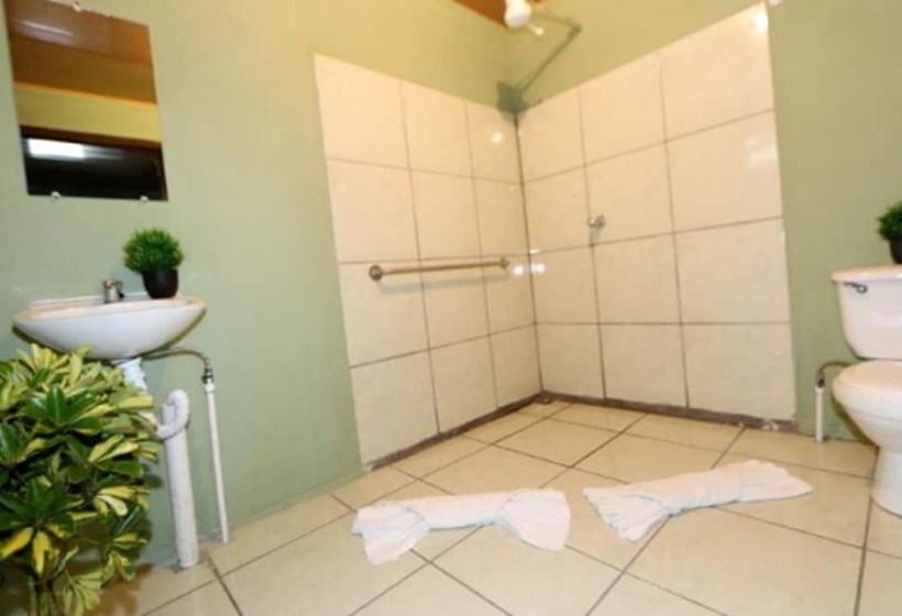 تختخواب در اتاق مشترک, Hostel Cattleya   Monteverde, Costa Rica