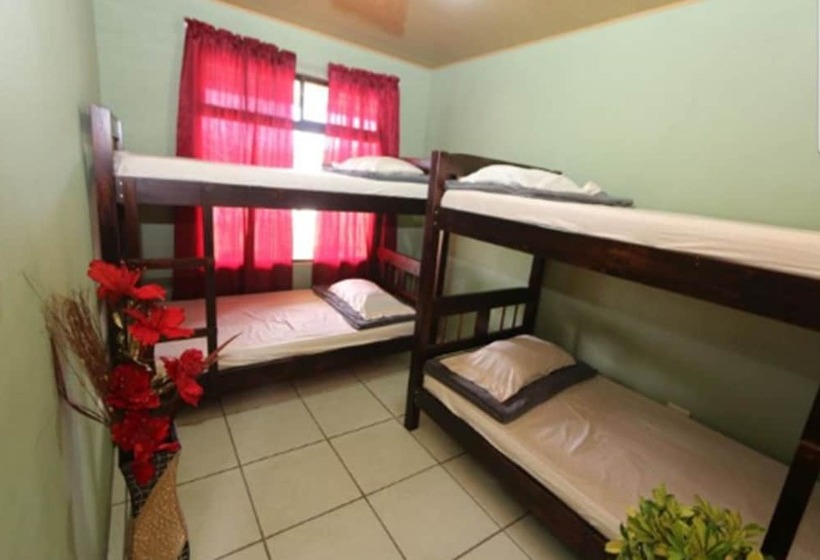 تختخواب در اتاق مشترک, Hostel Cattleya   Monteverde, Costa Rica