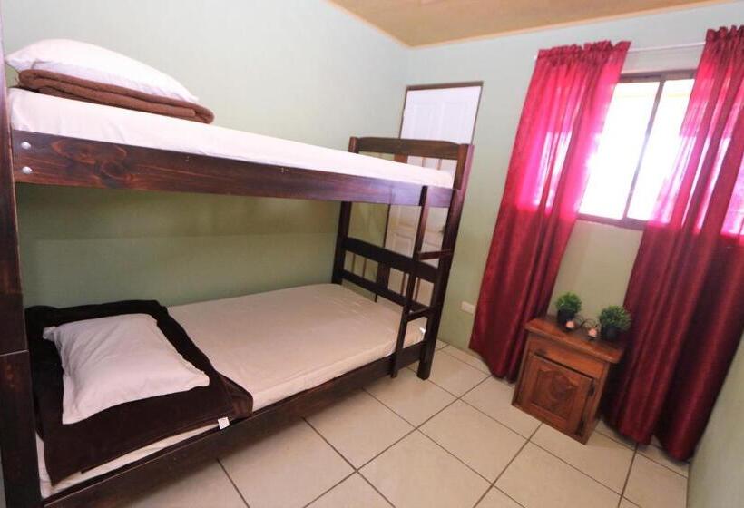 تختخواب در اتاق مشترک, Hostel Cattleya   Monteverde, Costa Rica