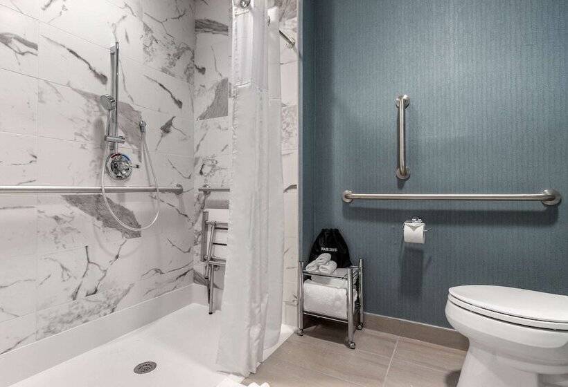 Номер Стандарт Кровать Кинг Адаптированный для Инвалидов, Cambria Hotel West Orange