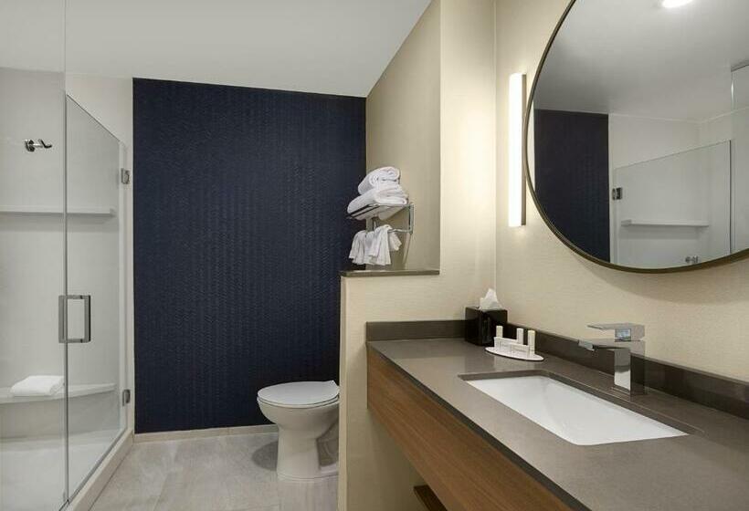 Люкс Кровать Кинг, Fairfield Inn & Suites By Marriott Shelby