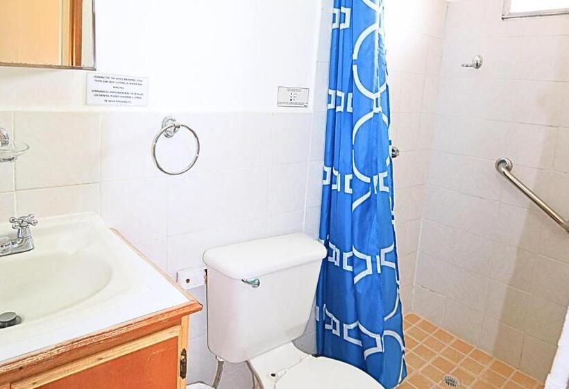 스탠다드 룸, Aparthotel Los Pinos