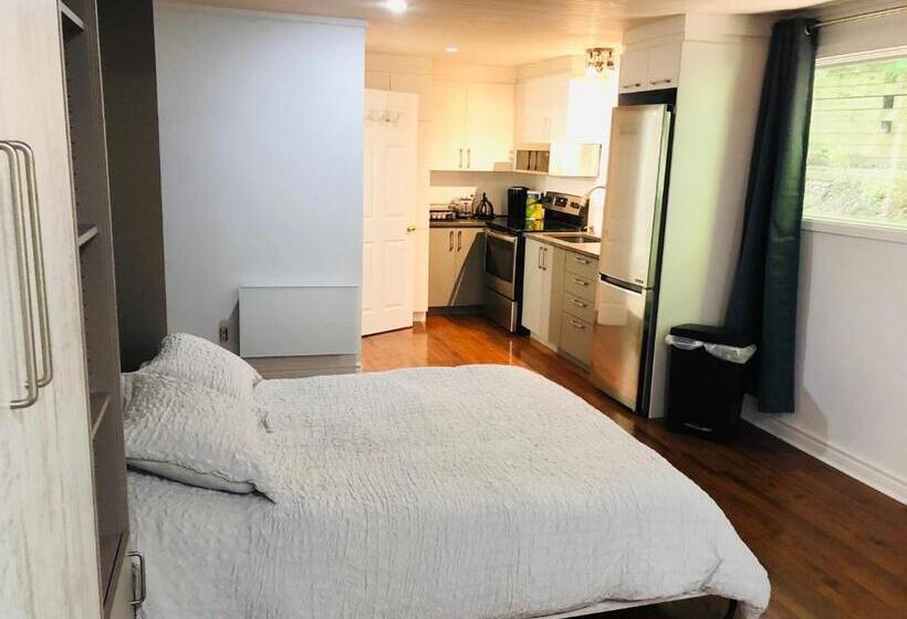 Апартаменты 1 Спальня, Loft Des Suites North Hatley
