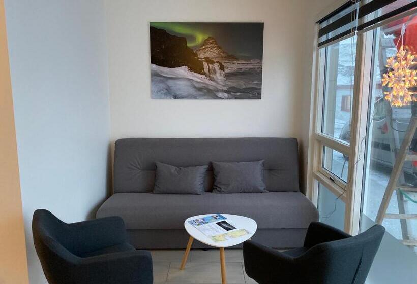 آپارتمان 1 خوابه با چشم‌انداز, Kirkjufell Guesthouse And Apartments