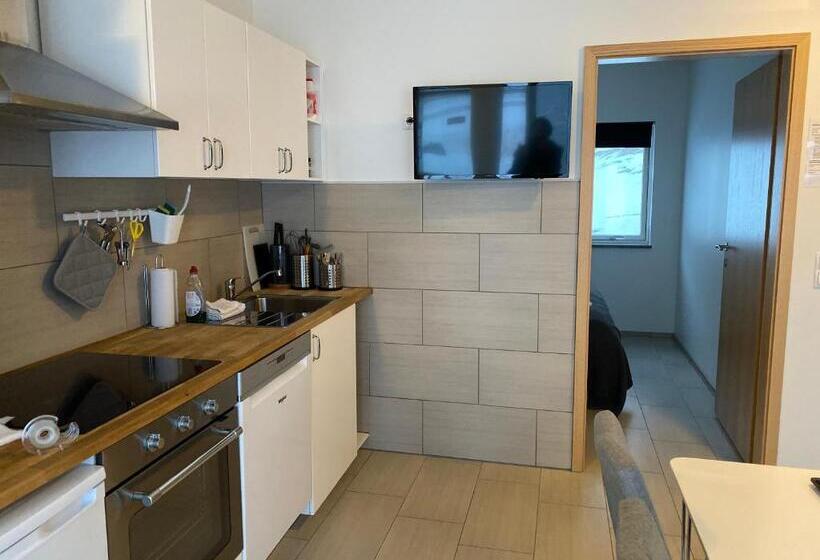 آپارتمان 1 خوابه با چشم‌انداز, Kirkjufell Guesthouse And Apartments
