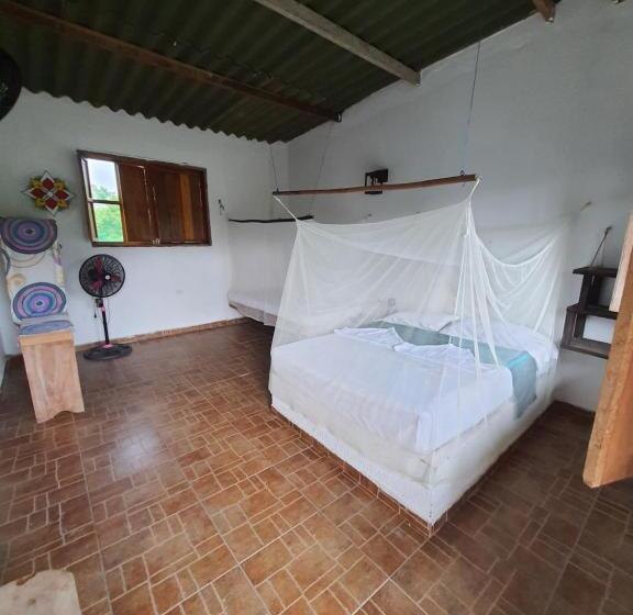 스탠다드 룸, Hostal Luz De Luna