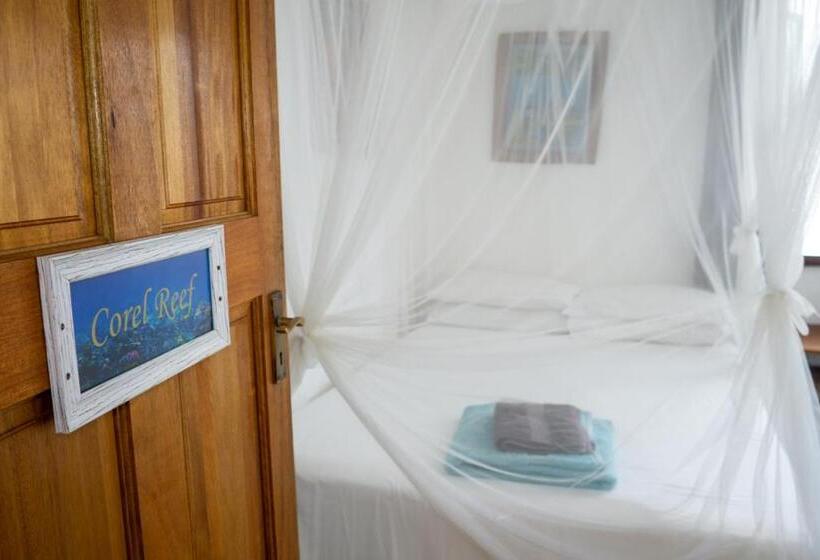 스탠다드 룸, C Mew Guest House