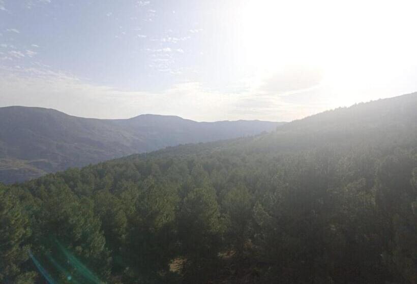 Номер Стандарт, Hostal El Desvío