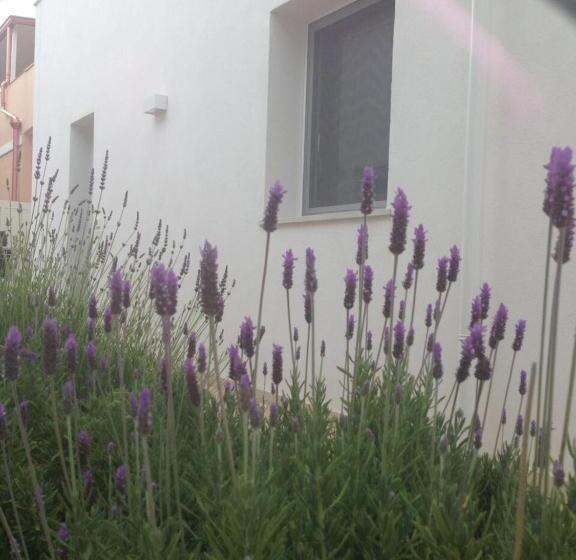 Апартаменты 1 Спальня, Borghetto Mediterraneo
