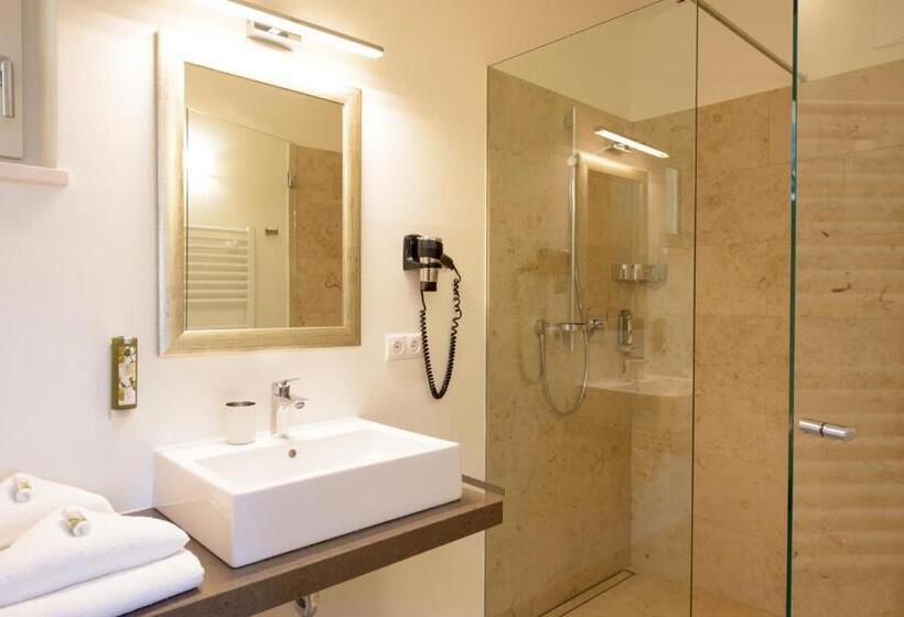 Полулюкс Вид на Бассейн, Brühl Suites&residence