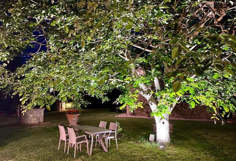 带1个卧室带花园景观的公寓, Agriturismo L'antica Quercia