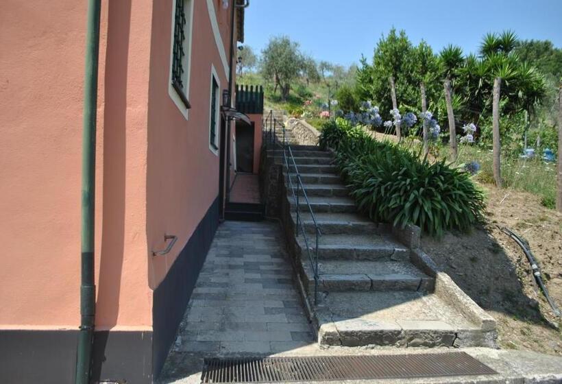 Полулюкс, L' Amandola