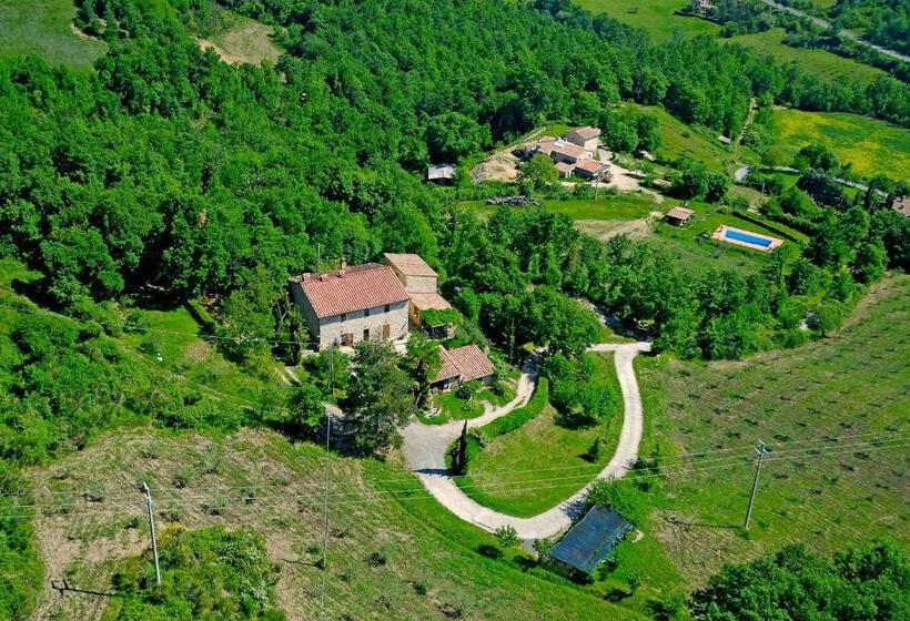 Студия Стандарт, Agriturismo Santa Caterina