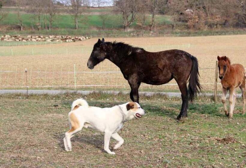침실 1개 주택, Ferme Equestre Les Coccinelles