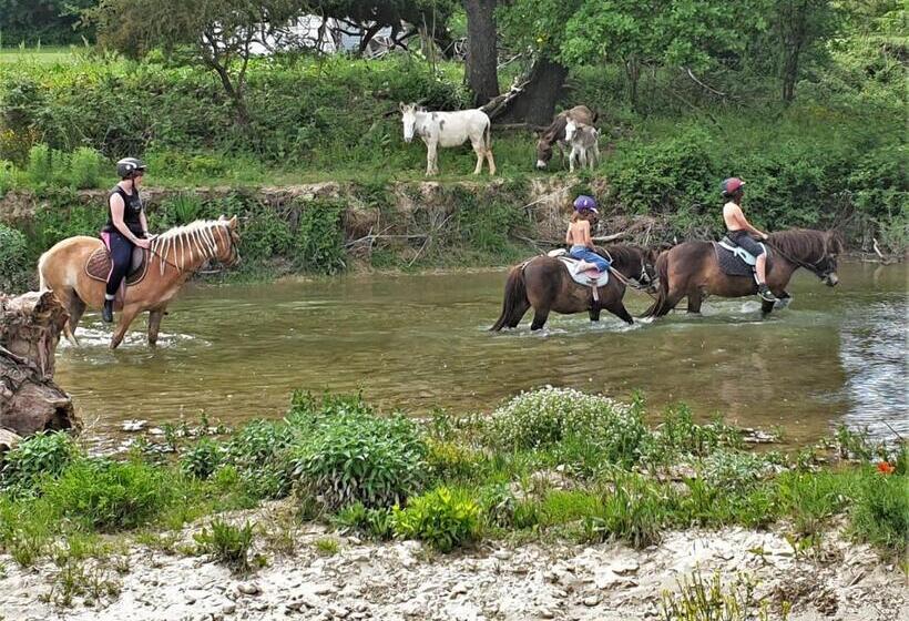 침실 1개 주택, Ferme Equestre Les Coccinelles