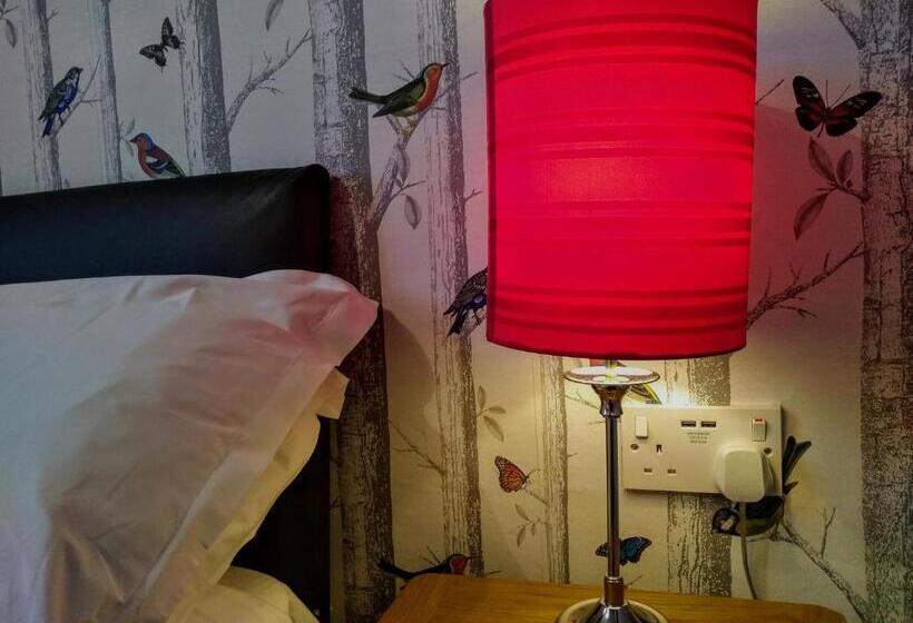 基本间, Bluebird Lodge