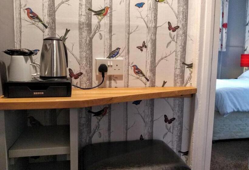 Номер Basic, Bluebird Lodge