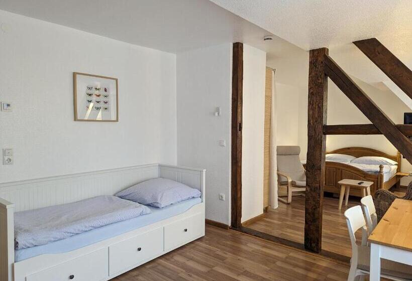 Трехместный Номер Стандарт с Видом, Waldpension Harzer Waldwinkel