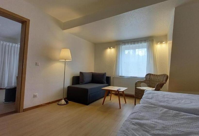 Номер Стандарт Трехместный, Waldpension Harzer Waldwinkel