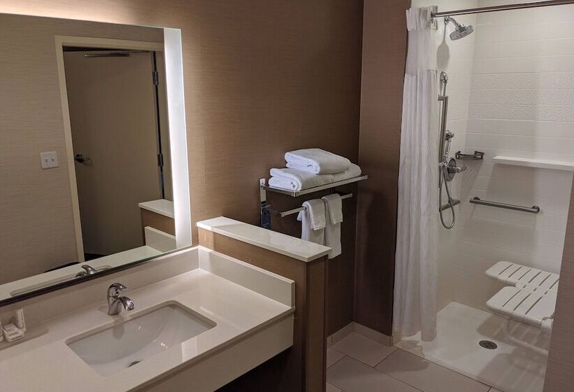 Люкс, Fairfield Inn & Suites By Marriott Phoenix Tempe/airport