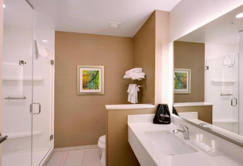 Люкс Кровать Кинг, Fairfield Inn & Suites By Marriott Phoenix Tempe/airport