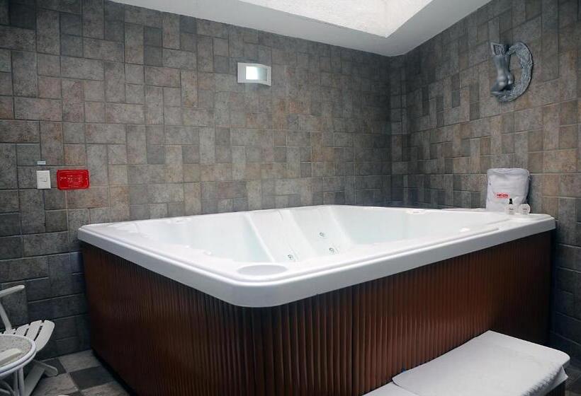 Номер Deluxe, Nexos Motel Tamarineira