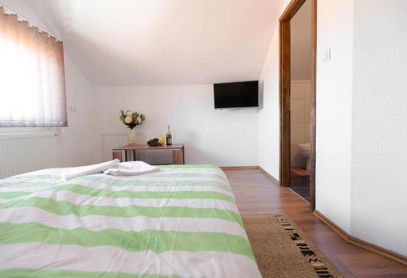 اتاق استاندارد, Guesthouse Vila Puzic