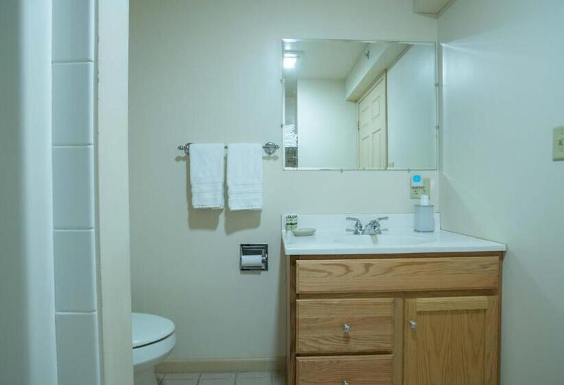 デラックスルーム, Swift River Suites
