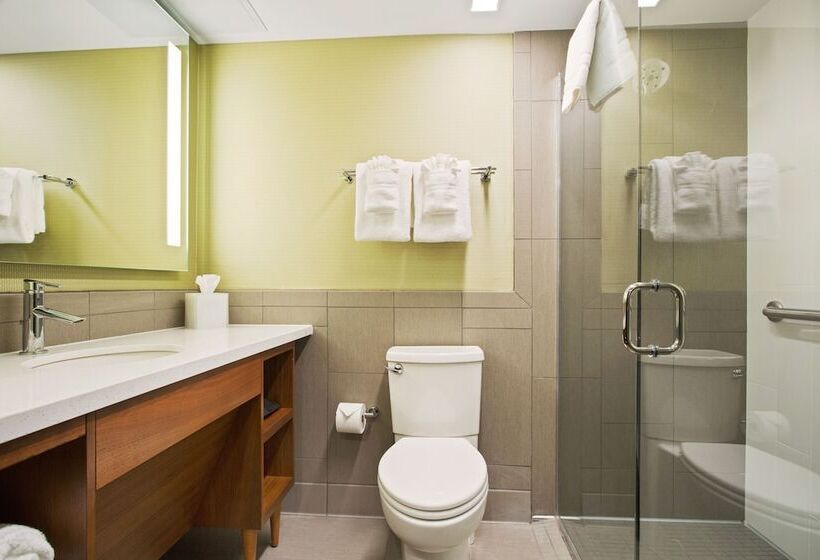 Quarto Estandar Cama Casal, Alder Hotel Uptown New Orleans