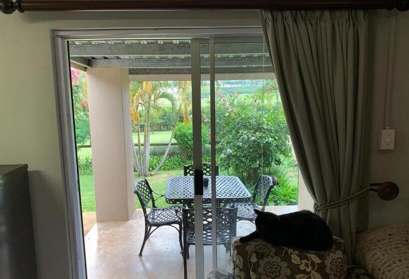Апартаменты 1 Спальня Вид на Сад, Jelani Guest House