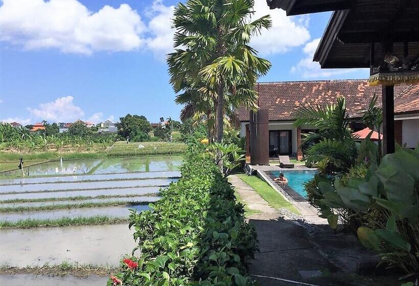 ファミリールーム, Kampung Canggu