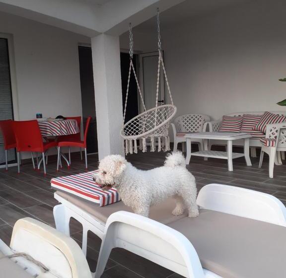 آپارتمان 1 خوابه با تراس, Guest House Cvoro