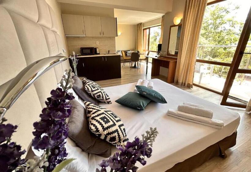 Студио Стандарт с Балконом, Apart Hotel Primavera 2
