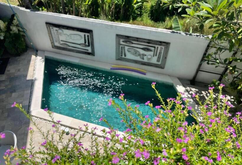 高级大房间, Canggu   Pererenan Guesthouse  Abalihouse