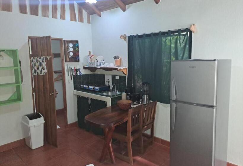 标准工作室, Casa Rosada Nosara