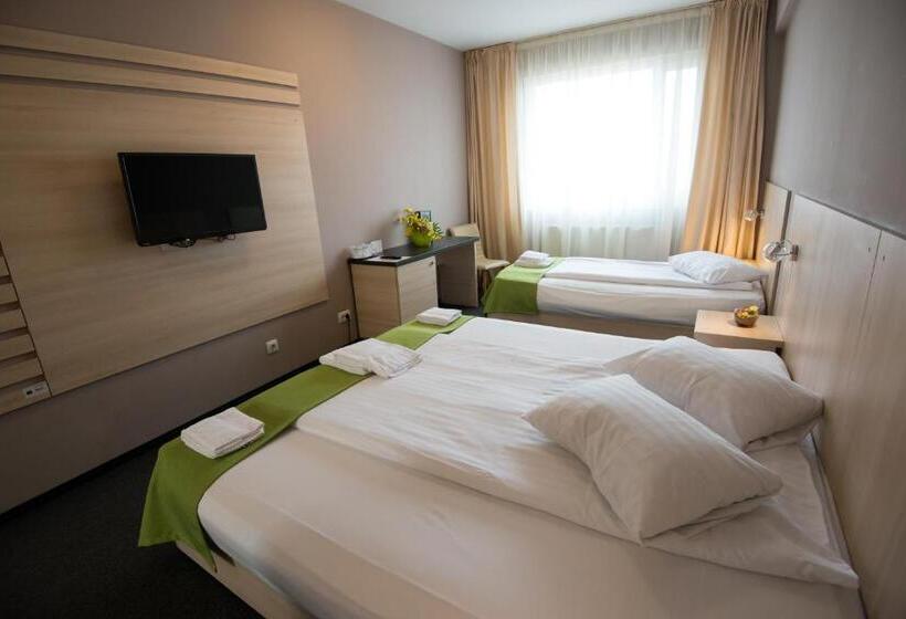 חדר סטנדרט לשלושה, Panorama Business Inn