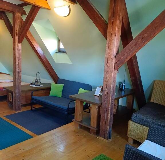 Номер Стандарт Вид на Реку, Guest House Olšakovský