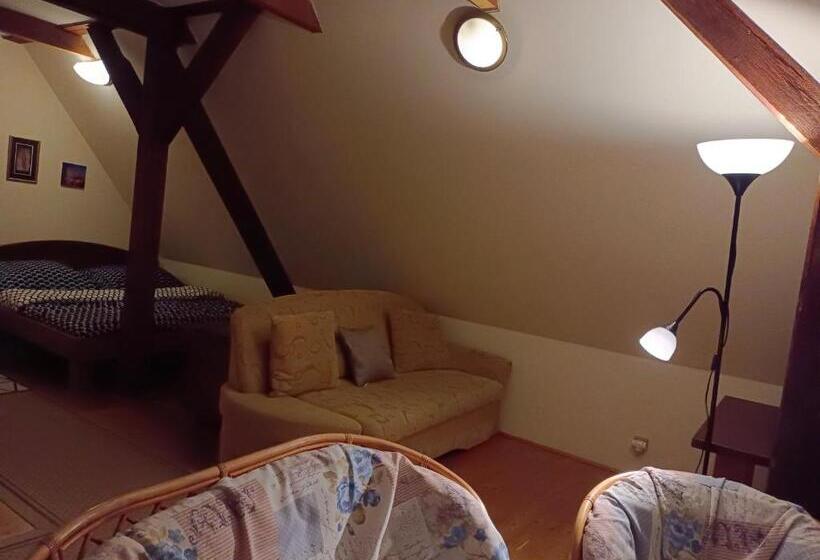 Номер Стандарт Вид на Город, Guest House Olšakovský