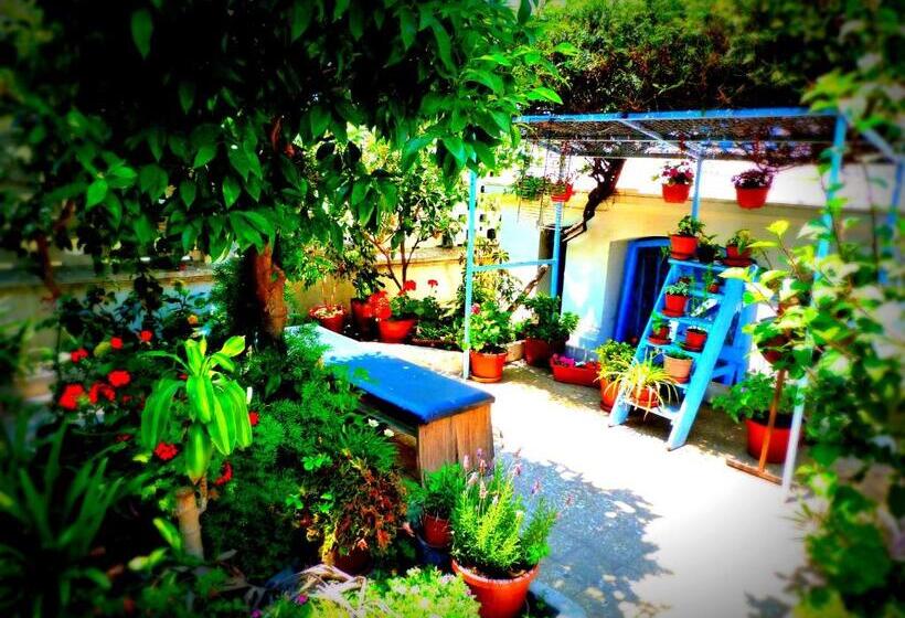 اتاق استاندارد, Blanca Rosa Valparaiso B&b